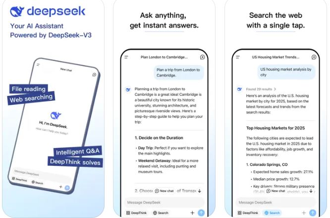 Deep Seek App